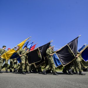 Uvježbavanje pješačkih postroja za mimohod