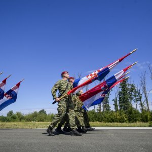 Uvježbavanje pješačkih postroja za mimohod