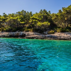 Vela Luka: Uvala Slatina