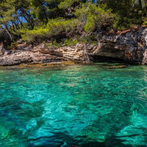 Vela Luka: Uvala Slatina
