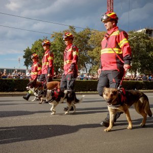 Vojni mimohod u Zagrebu 2025.