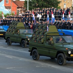 Oklopnjaci, tenkovi i druga vozila na mimohodu