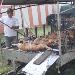 Pripreme za Thompsonov koncert u Sinju