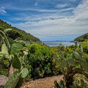 Otok Korčula, uvala Pupnatska Luka
