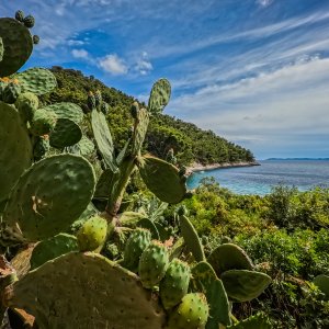 Otok Korčula, uvala Pupnatska Luka