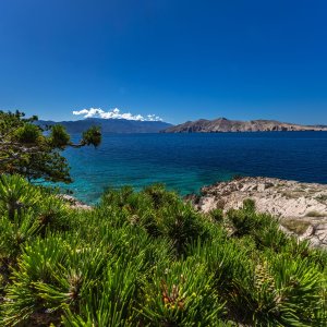 Otok Krk