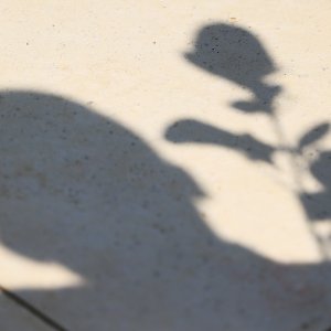 Ukop 814 žrtava Drugog svjetskog rata i poslijeratnog razdoblja ekshumiranih iz masovne grobnice jama Jazovka