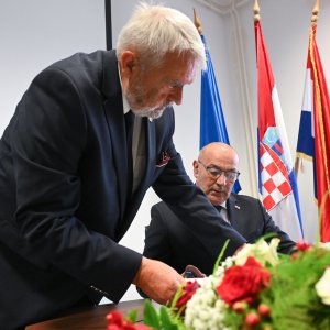 Krešimir Kašpar, Tomo Medved