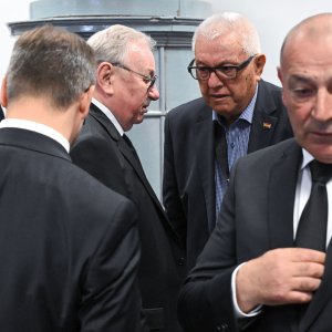 Vladimir Šeks, Luka Bebić, Tomo Medved