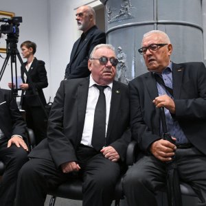 Vladimir Šeks, Luka Bebić