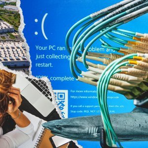 Od morskih pasa do baka s lopatama: Najbizarniji kvarovi koji su rušili internet