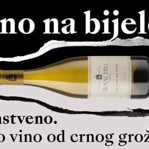 Poklanjamo vino koje spaja eleganciju i tradiciju