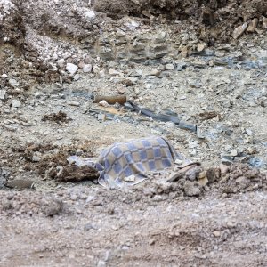 Pazin: Pronađena bomba iz drugog svjetskog rata