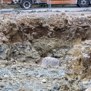 Pazin: Pronađena bomba iz drugog svjetskog rata