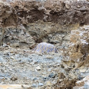 Pazin: Pronađena bomba iz drugog svjetskog rata