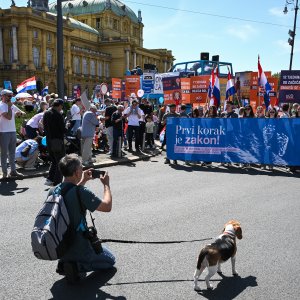 Hod za život