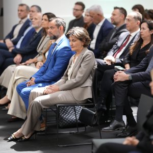 Vizionar godine