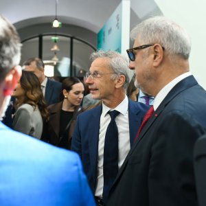 Boris Vujčić, Ivan Mišetić