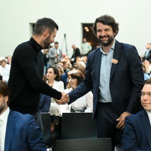 Mate Rimac, Boris Jokić