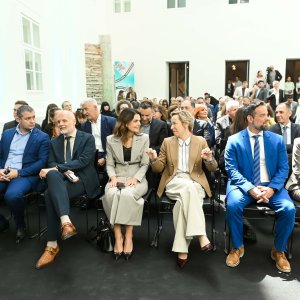 Vizionar godine