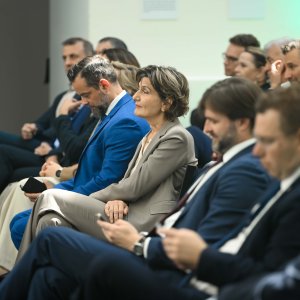 Vizionar godine