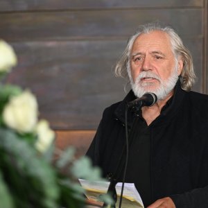 Rade Šerbedžija