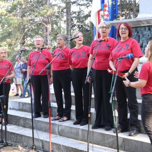 Obilježavanje 85. obljetnice ustanka u Srbu