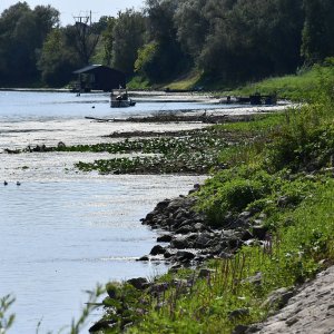 Slavonski Brod: Savu dijeli dvadesetak centimetara od najnižeg zabilježenog vodostaja