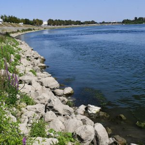 Slavonski Brod: Savu dijeli dvadesetak centimetara od najnižeg zabilježenog vodostaja