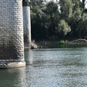 Slavonski Brod: Savu dijeli dvadesetak centimetara od najnižeg zabilježenog vodostaja