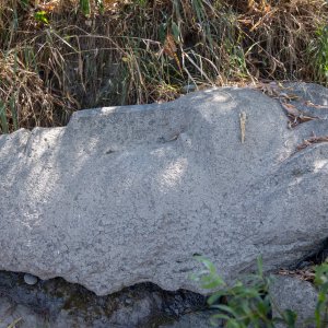 Zagreb: Ispod Hendrixova mosta izronila kamena skulptura 'Vodan'