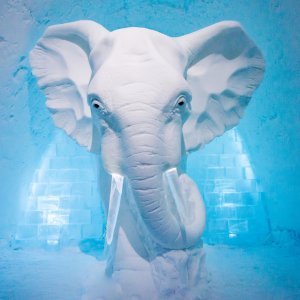 Ice Hotel