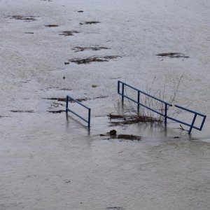 Visok vodostaj Save u Zagrebu