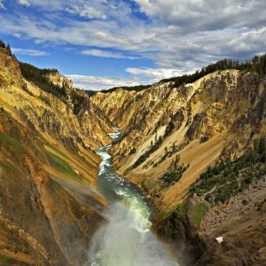 Kanjon rijeke Yellowstone u Nacionalnom parku Yellowstone