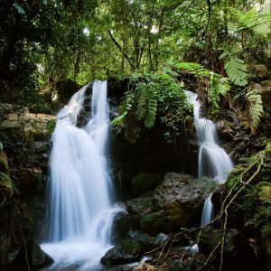 Šumski vodopad u Nacionalnom parku Bwindi