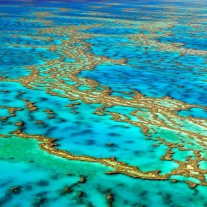 Veliki koraljni greben, Australija