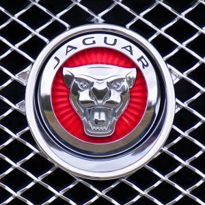 Jaguar o autonomnim vozilima