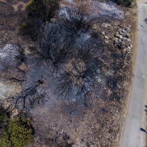 Požarište u Planom