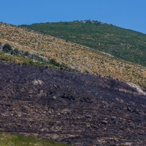 Požarište u Planom