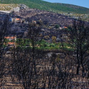 Požarište u Planom