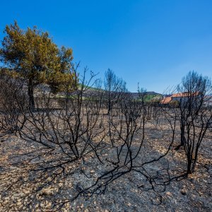 Požarište u Planom