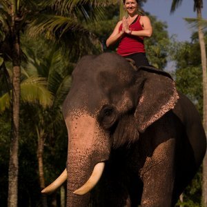 Uravnotežite um na slonovoj grbači