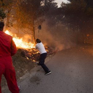 Stanovnici gase požar u Žrnovnici