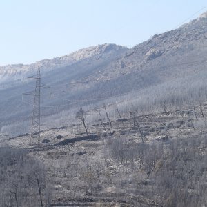 Zgarište nakon požara u okolici Splita