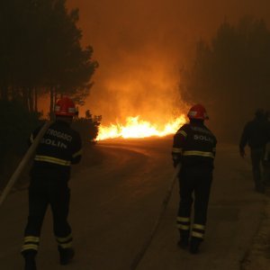 Požar u Žrnovnici