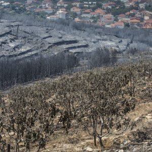 Zgarište u Žrnovnici u srpnju prošle godine