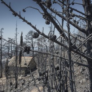 Zgarište u Žrnovnici u srpnju prošle godine