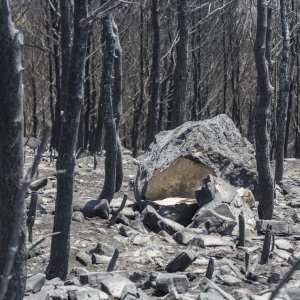 Zgarište u Žrnovnici u srpnju prošle godine