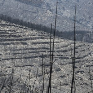 Zgarište u Žrnovnici u srpnju prošle godine