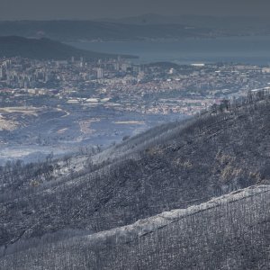 Zgarište u Žrnovnici u srpnju prošle godine